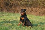 BEAUCERON 1028